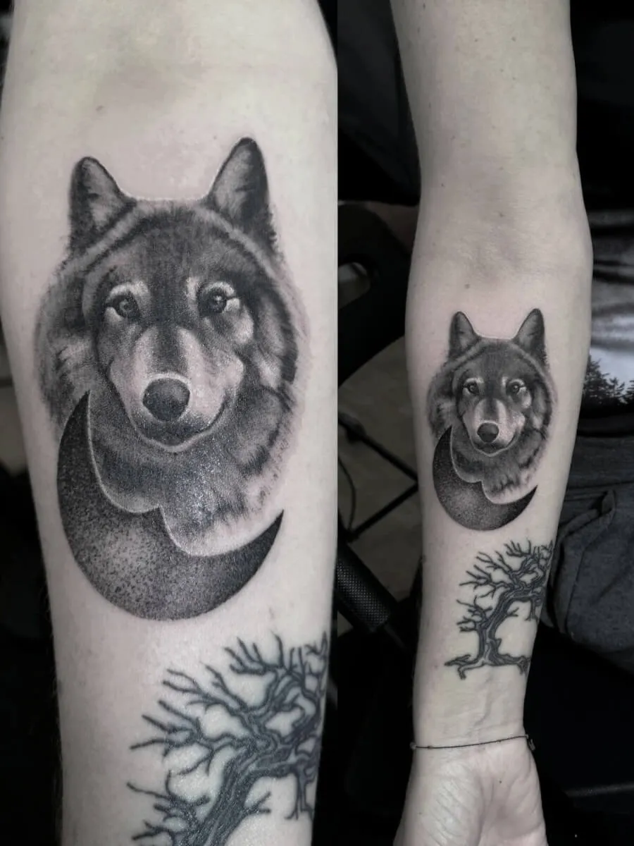 Wilk i symbol lunula wytatuowane na przedramieniu